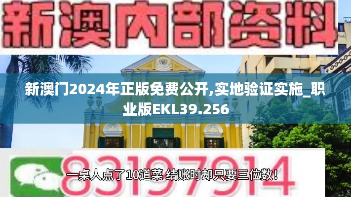 新澳門2024年正版免費公開,實地驗證實施_職業版EKL39.256
