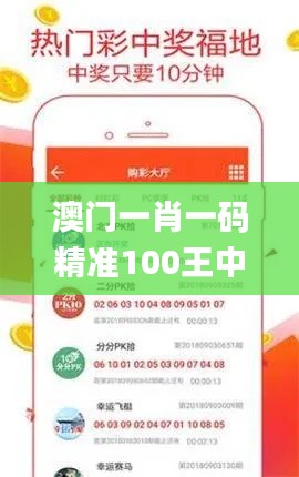 澳門一肖一碼精準100王中王,科學分析嚴謹解釋_多功能版NRH25.991