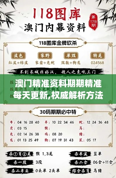 澳門精準資料期期精準每天更新,權威解析方法_YKX90.124便攜版