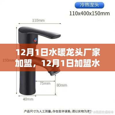 深度解析，加盟水暖龍頭廠家的機遇與挑戰——某某觀點解析