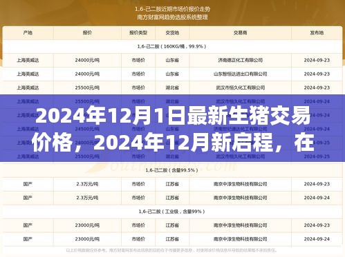 2024年12月新啟程，生豬交易最新價格與心靈之旅的寧靜美景探尋