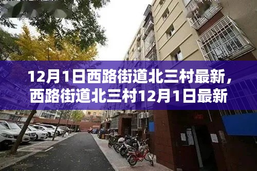 西路街道北三村12月1日最新動態概覽，最新消息一覽無余