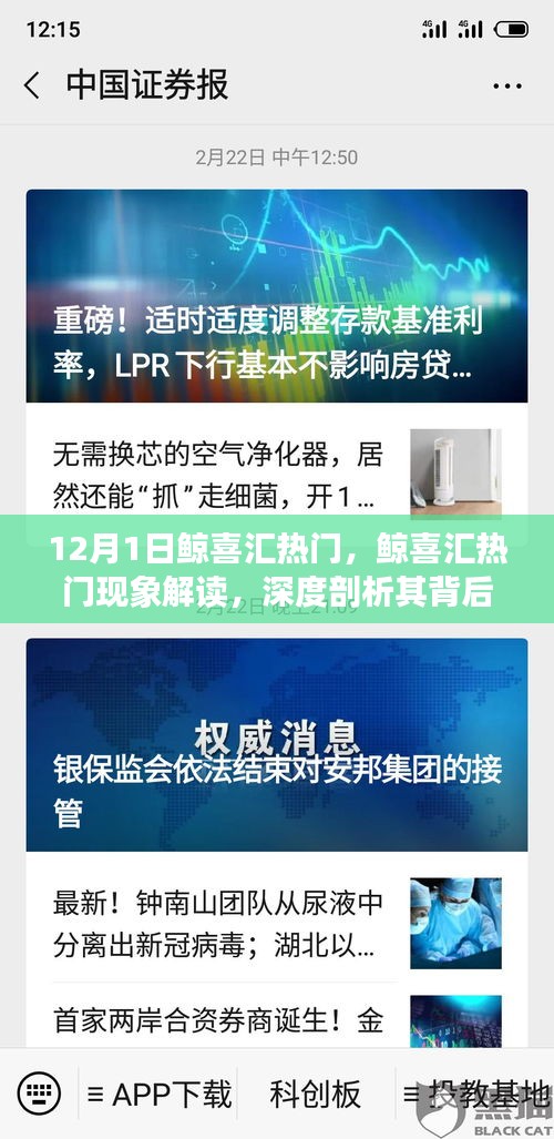 鯨喜匯熱門現(xiàn)象深度解讀，價值與爭議背后的探討