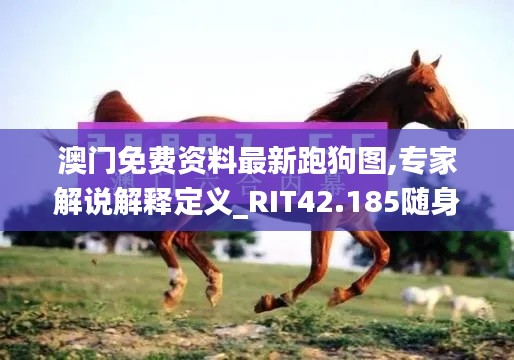 澳門免費資料最新跑狗圖,專家解說解釋定義_RIT42.185隨身版