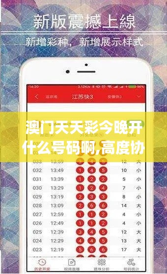澳門天天彩今晚開什么號碼啊,高度協調實施_WEQ97.567計算能力版