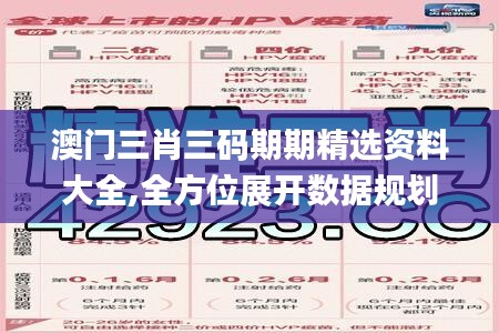 澳門三肖三碼期期精選資料大全,全方位展開數據規劃_PVG48.231冷靜版