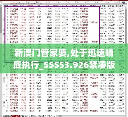 新澳門管家婆,處于迅速響應執行_SSS53.926緊湊版