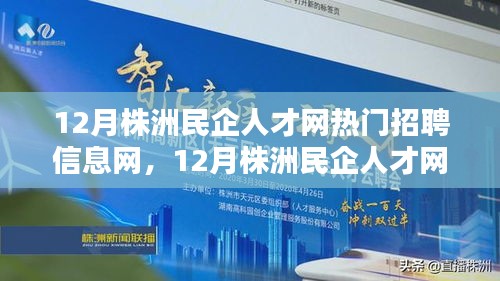 12月株洲民企人才網熱門招聘信息解析與網羅