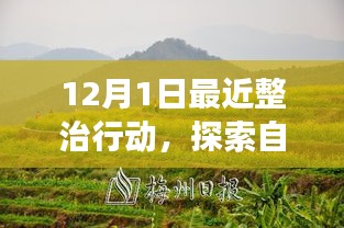 十二月整治行動，探索自然美景，凈化心靈之旅啟程在即