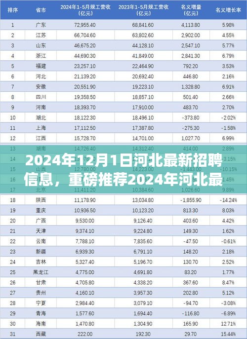 重磅推薦，2024年河北最新招聘信息大揭秘，優質崗位等你來挑戰