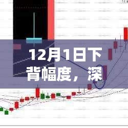 12月1日下背幅度產品深度評測與特性解析
