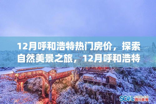 12月呼和浩特房價熱點與自然美景探索，尋找內(nèi)心的寧靜與平和之旅