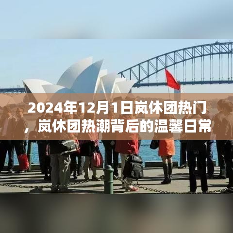 嵐休團(tuán)熱潮背后的溫馨日常，2024年12月1日的歡樂時(shí)光