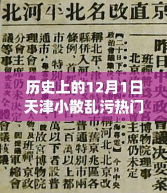 天津小散亂污事件深度解析，歷史上的12月1日回顧與熱議
