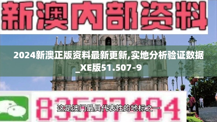 2024新澳正版資料最新更新,實地分析驗證數據_XE版51.507-9