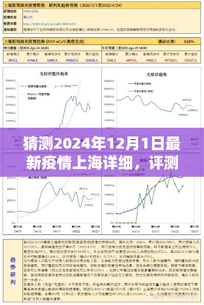 上海最新疫情動態分析報告（2024年12月），疫情趨勢預測與評測報告解讀