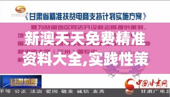 新澳天天免費精準資料大全,實踐性策略實施_擴展版18.628-1