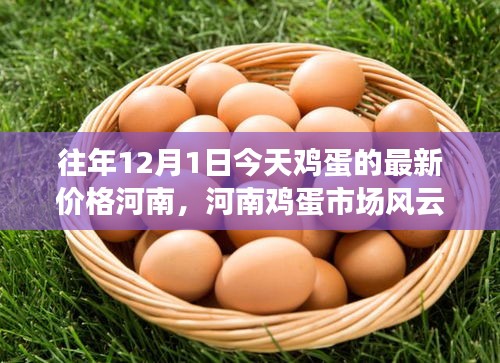 河南雞蛋市場風(fēng)云揭秘，往年12月1日今日雞蛋最新價格及背后故事深度剖析