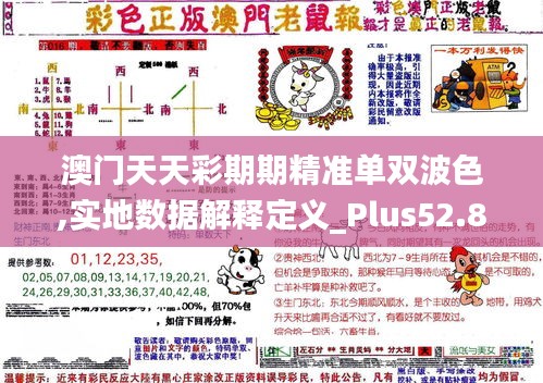 澳門天天彩期期精準單雙波色,實地數據解釋定義_Plus52.838-1