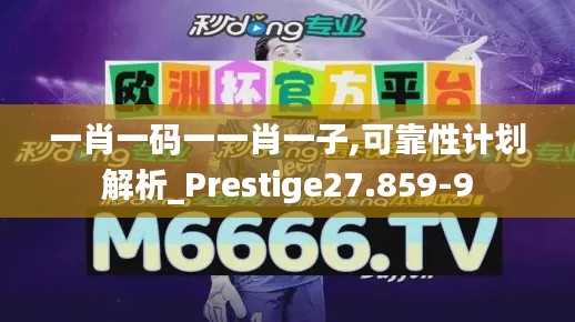 一肖一碼一一肖一子,可靠性計劃解析_Prestige27.859-9