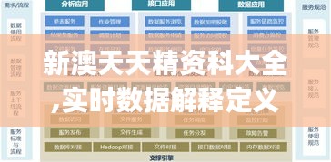 新澳天天精資科大全,實時數據解釋定義_特供版13.127-7