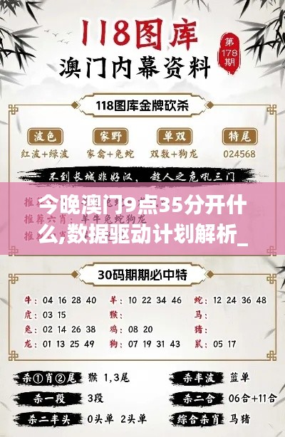 今晚澳門9點35分開什么,數據驅動計劃解析_OP85.885-7