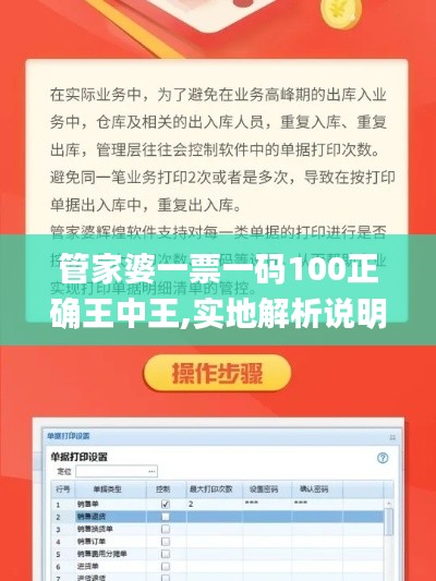 管家婆一票一碼100正確王中王,實地解析說明_黃金版124.966-4