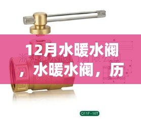 12月水暖水閥，歷史脈絡、重大事件及時代地位探究