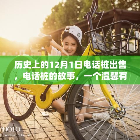 電話樁的故事，回憶之旅中的溫馨出售日——歷史上的十二月一日