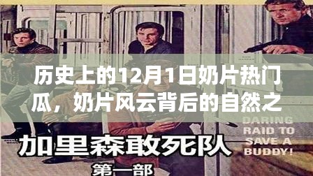奶片風(fēng)云背后的自然之旅，尋找內(nèi)心平靜的奇妙冒險(xiǎn)之旅。