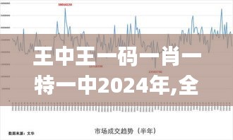 王中王一碼一肖一特一中2024年,全面分析說(shuō)明_投資版53.721-6