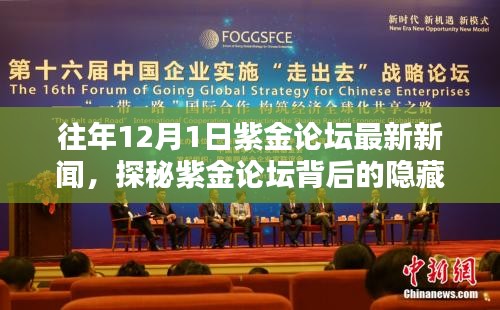 探秘紫金論壇隱藏瑰寶與小巷特色小店奇遇記，最新新聞回顧