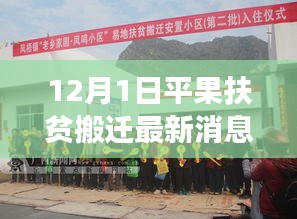 最新動態 第7頁