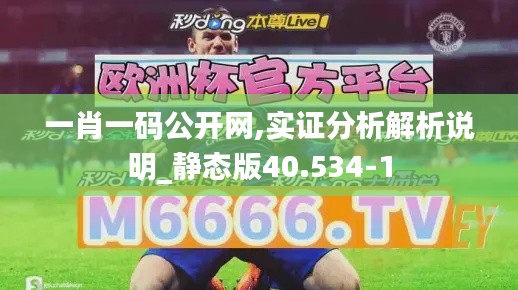 一肖一碼公開網(wǎng),實證分析解析說明_靜態(tài)版40.534-1