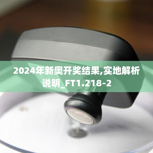 2024年新奧開獎(jiǎng)結(jié)果,實(shí)地解析說(shuō)明_FT1.218-2