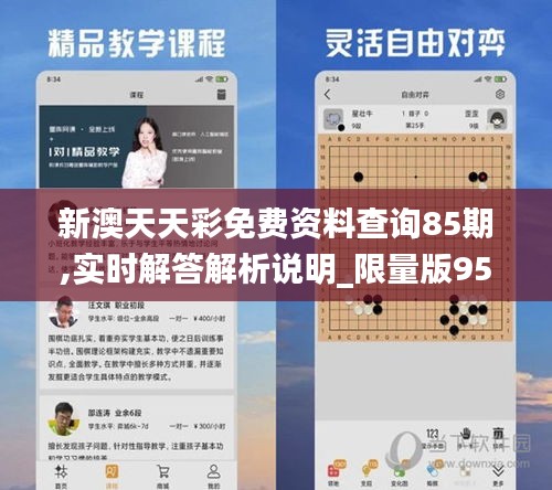 新澳天天彩免費資料查詢85期,實時解答解析說明_限量版95.728-1