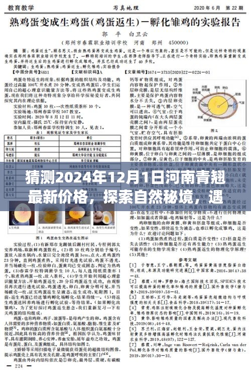 2024年河南青翹最新價格預測，探尋自然秘境中的青翹之舞