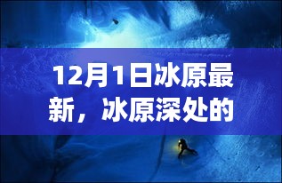 冰原深處的驚喜與小巷美食驛站，最新探索報告（12月1日）
