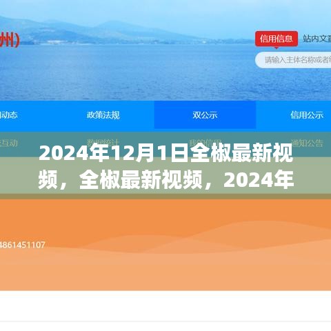 2024年視角，全椒最新視頻探討與解析
