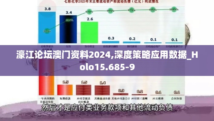 濠江論壇澳門資料2024,深度策略應用數據_Holo15.685-9