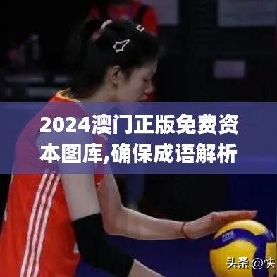 2024澳門正版免費資本圖庫,確保成語解析_WP62.398-5