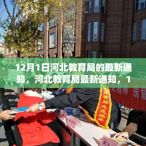 河北教育局12月1日最新通知，教育政策解讀與操作指南