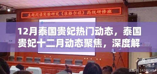 泰國貴妃十二月動態深度解析與觀點闡述