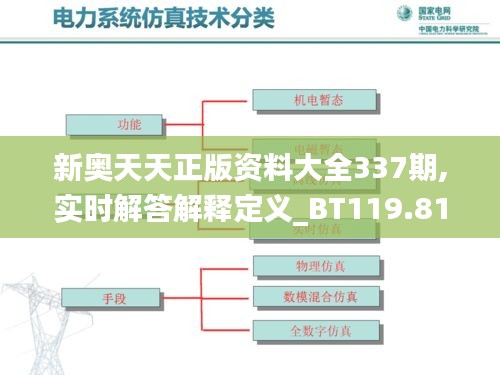 新奧天天正版資料大全337期,實時解答解釋定義_BT119.811-8