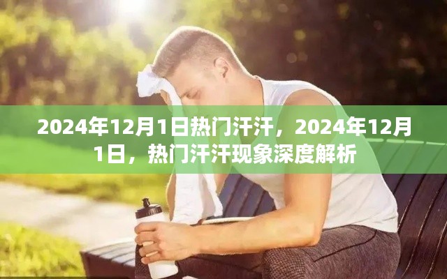 深度解析，熱門汗汗現象在2024年12月1日的盛行