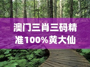 澳門三肖三碼精準100%黃大仙337期,高速解析方案響應_桌面版20.908-9