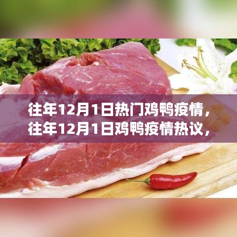 深度剖析，歷年12月1日雞鴨疫情熱議與觀點解析