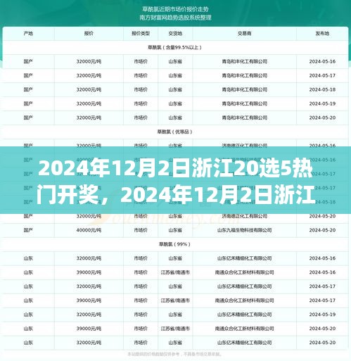 2024年12月2日浙江20選5熱門開獎，2024年12月2日浙江20選5彩票熱門開獎分析與預測