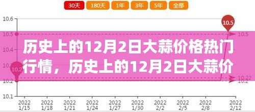 揭秘大蒜風云變幻，歷史上的12月2日大蒜價格行情回顧