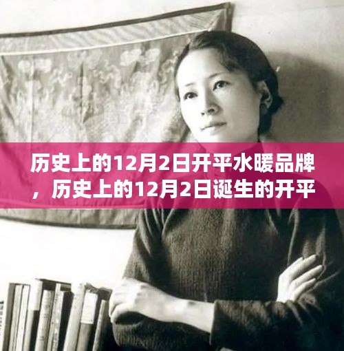 歷史上的12月2日誕生的開平水暖品牌，深度評測與介紹